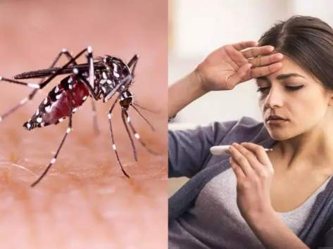 How To Stay Safe From Dengue During Monsoon Rains